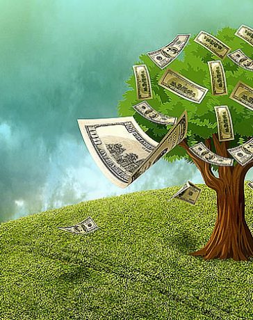 Sí, el dinero sí crece en los arboles! Este artículo le mostrara cómo puede hacer crecer su propio árbol del dinero, siguiendo estos tres pasos básicos...