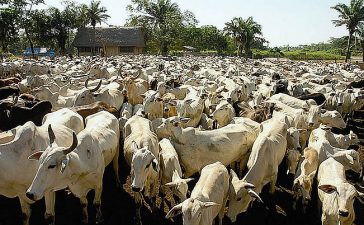 El primer paso para alcanzar su pleno potencial y lograr todo lo que desea y merece en la vida, comienza con una mentalidad de abundancia...