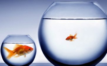 Secretos de la mente millonaria