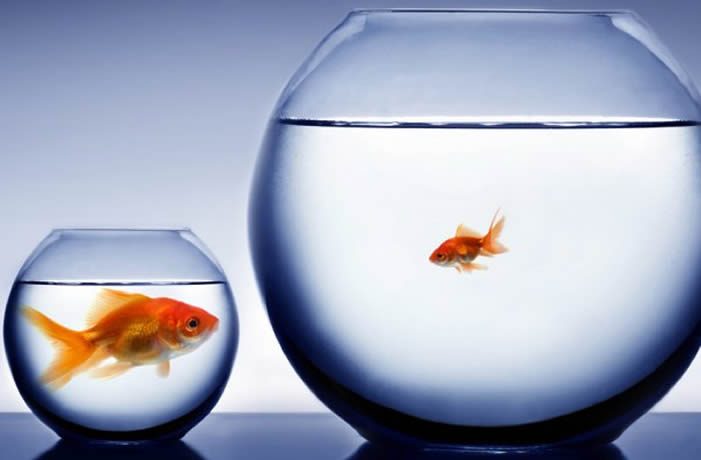 Secretos de la mente millonaria