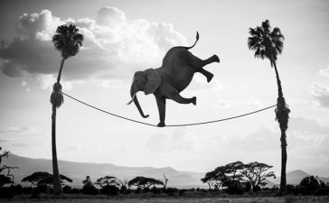 El pensamiento positivo funciona y además es muy necesario para su vida. Ponga en practica los 3 pasos que encontrará en este artículo....