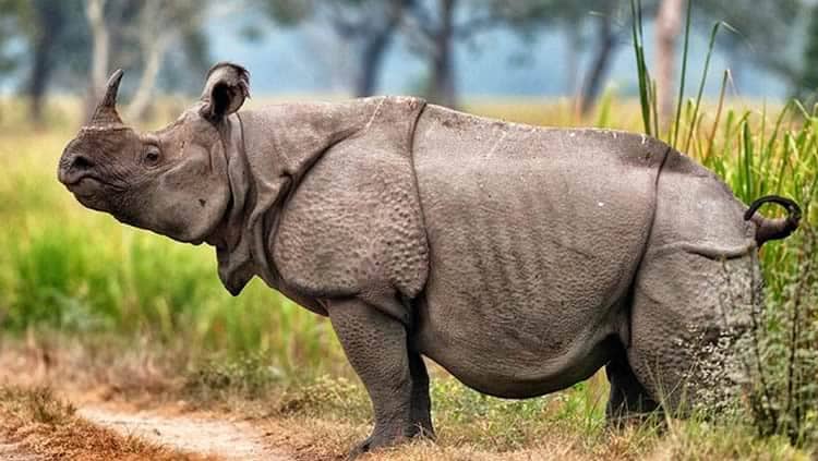 Materializa tus objetivos